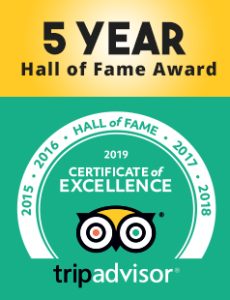 Baja Whale watcching tours since 1989. #1 Tripaddvisor Specialty Lodging in Baja California