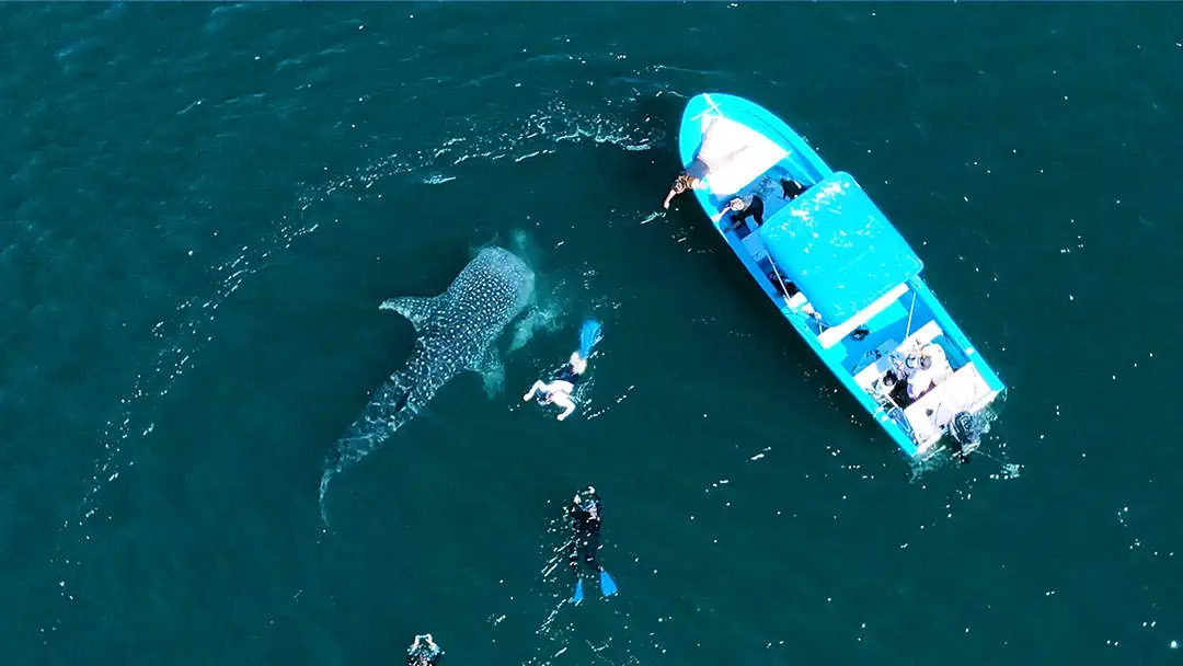 ecotourism in mexico