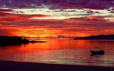Sustainable Ecotourism Adventure: Discover Mexico’s Galápagos in the Midriff Islands of the Sea of Cortez: Discover Mexico’s Galápagos in the Midriff Islands of the Sea of Cortez