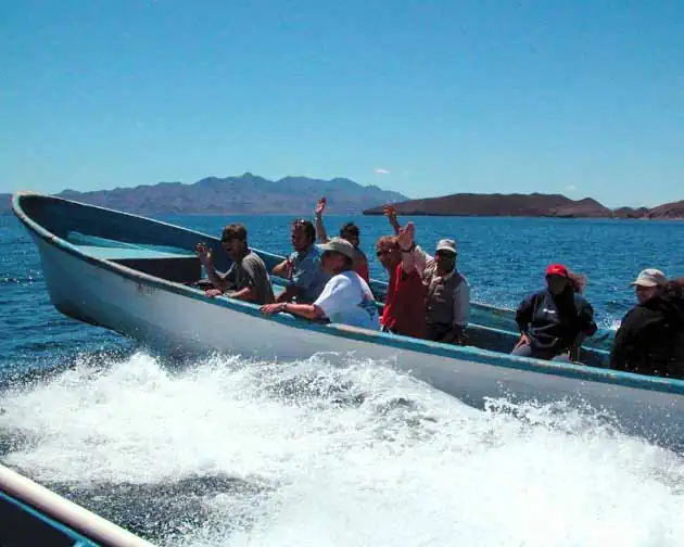 baja whale watching tour