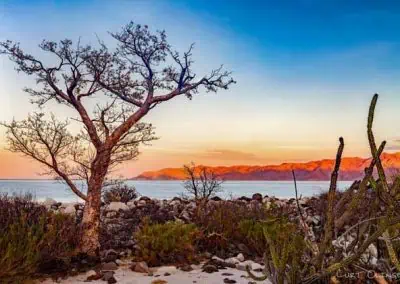 Ecotourism Baja California - Sea of Cortez
