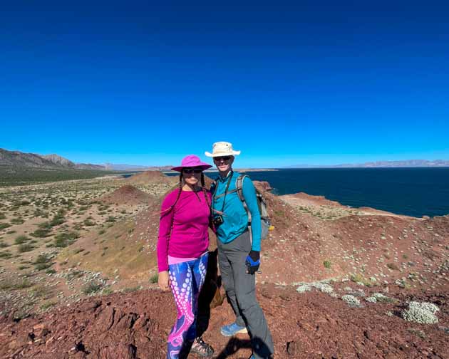 baja whale shark tours