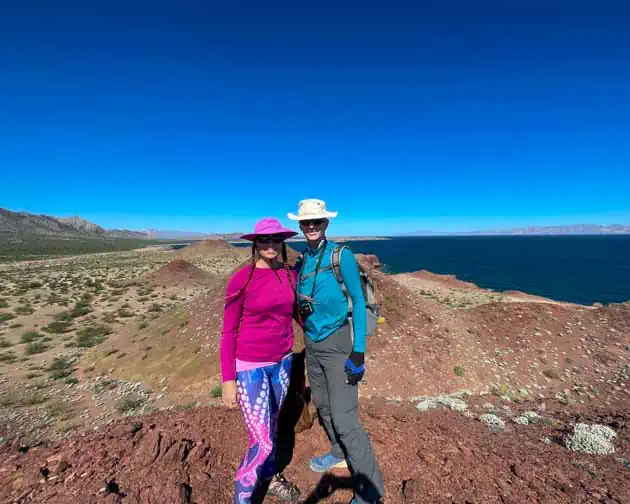 baja whale shark tours