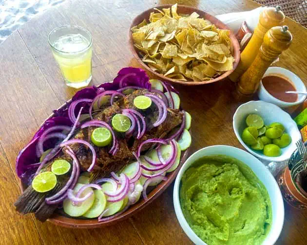 Baja ecotourism lodge - fresh seafood and mexican meals