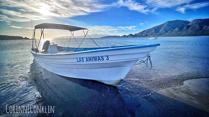 Baja Adventure Travel Administrative Job for Las Animas ecolodge