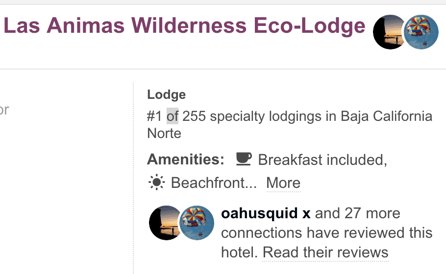 Since 1989, Over 5,000 Happy Guests, #1 Tripadvisor specialty Lodging Baja Mexico, Baja Spirit Guest Reviews